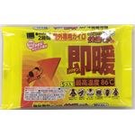 【ケース販売】 オカモト 快温くんプラス即暖貼らないミニ5枚 × 48 点セット