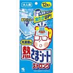 【ケース販売】 小林製薬 冷凍庫用 熱さまシートストロング 大人用 12枚 × 24 点セット