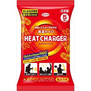 【ケース販売】 興和新薬 ヒートチャージャー貼らないレギュラー5個 × 48 点セット