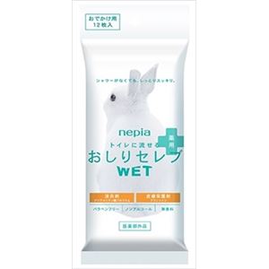 【ケース販売】 王子ネピア ネピアおしりセレブウエット薬用おでかけ用 × 60 点セット