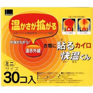 【ケース販売】 オカモト 貼る快温くんミニ30コイリ × 16 点セット
