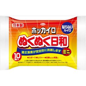 【ケース販売】 興和新薬 ホッカイロ ぬくぬく日和 貼らないミニ10個 × 48 点セット