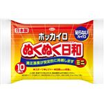 【ケース販売】 興和新薬 ホッカイロ ぬくぬく日和 貼らないミニ10個 × 48 点セット