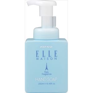 【ケース販売】 熊野油脂 ELLE MAISON 薬用泡ハンドソープ 本体 × 40 点セット