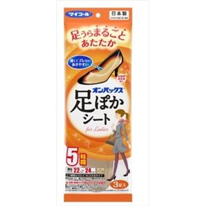 【ケース販売】 エステー オンパックス 足ぽかシート FOR LADIES 5時間 22CM 3P × 40 点セット