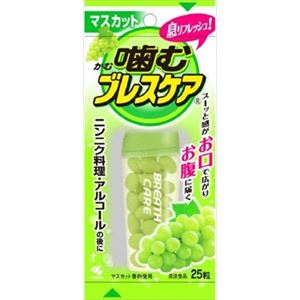 【ケース販売】 小林製薬 噛むブレスケアマスカット × 48 点セット