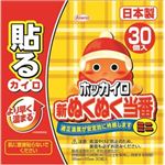 【ケース販売】 興和新薬 新ぬくぬく当番貼るミニ30個 × 16 点セット