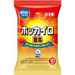 【ケース販売】 興和新薬 ホッカイロ 貼らないミニ10個 × 48 点セット