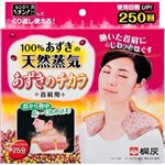 【ケース販売】 桐灰化学 100%あずきの天然蒸気 あずきのチカラ 首肩用 × 12 点セット