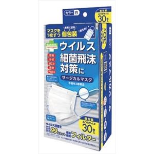 【ケース販売】 サラヤ スマートハイジーン サージカルマスク 個包装 ふつう × 50 点セット