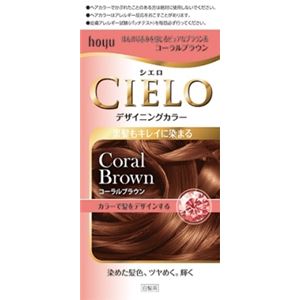 【ケース販売】 ホーユー シエロ デザイニングカラー コーラルブラウン × 27 点セット