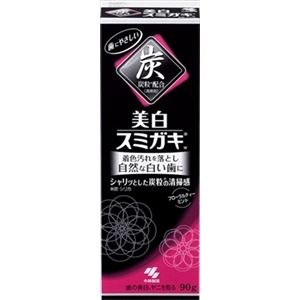 【ケース販売】 小林製薬 美白スミガキ × 48 点セット