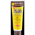 【ケース販売】 コスメテックスローランド ロッシモイストエイド オイルヘアトリートメントBA × 48 点セット