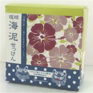 【ケース販売】 ちのしお社 琉球海泥せっけん 100g × 72 点セット