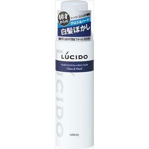 【ケース販売】 マンダム ルシード 白髪用整髪フォーム グロス＆ハード × 36 点セット