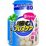 【ケース販売】 小林製薬 噛むブレスケア ボトル スッキリクールミント × 48 点セット