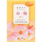 【ケース販売】 日本香堂 かたりべ白梅ミニ × 80 点セット