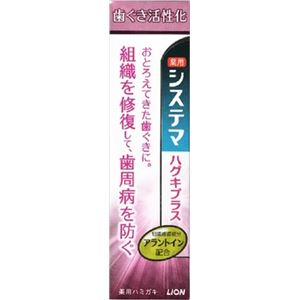 【ケース販売】 ライオン システマハグキプラスハミガキ90G × 60 点セット