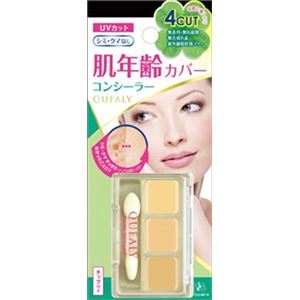 【ケース販売】 エリザベス クエリー 3色パレット コンシーラー × 60 点セット