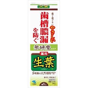 【ケース販売】 小林製薬 生葉m 無研磨タイプ × 48 点セット