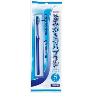 【ケース販売】 エビス ラッキーハブラシ5本入 × 300 点セット