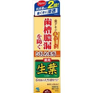 【ケース販売】 小林製薬 ひきしめ生葉ha × 48 点セット