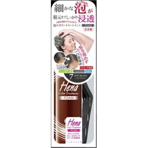 【ケース販売】 三宝商事 泡のカラートリートメントフォーム ソフトブラック × 48 点セット