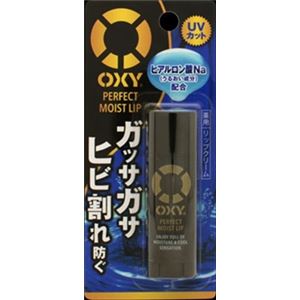 【ケース販売】 ロート製薬 OXY（オキシー） パーフェクトモイストリップ × 240 点セット