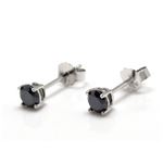 ブラックキュービックジルコニア・シルバーピアス・4mm×4mm ZZEU-0233bH04x