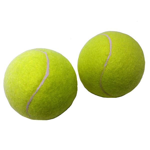 硬式テニスボール 2P (×50パック) b04