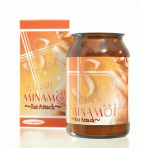 スリムのMINAMOTO Fat Attack - 拡大画像