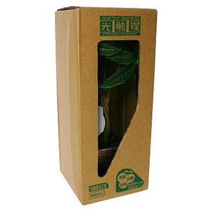 光触媒 パキラM KO-1 (2-3畳用) - 拡大画像