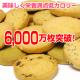 NEW豆乳おからクッキー　8種類セット - 縮小画像2