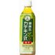 サントリー 健康系カテキン式 ペット 500ml(×24)
