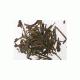 農薬不使用栽培 有機のお茶 ほうじ茶 100g - 縮小画像2