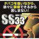 SS33 - 縮小画像4