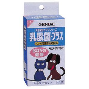 乳酸菌・プラス　48粒 - 拡大画像