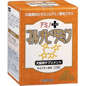 アミノプラス マルチビタミン 120粒 - 拡大画像