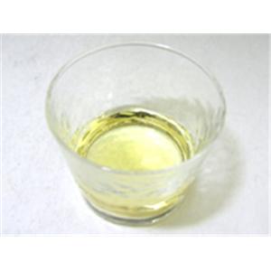 ラピスサポートα 100ml*10本