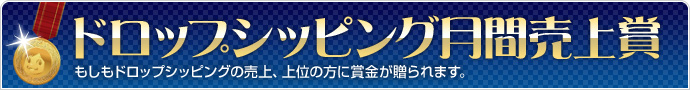 ドロップシッピング月刊売上賞