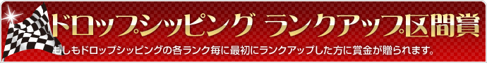 ドロップシッピングランクアップ区間賞