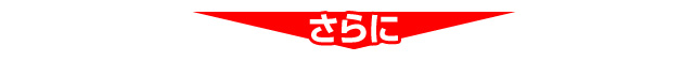 ドロップシッピング部門