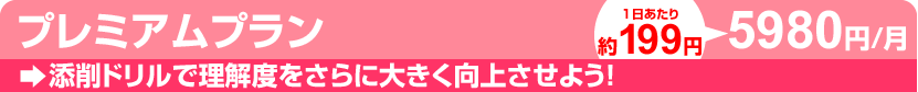 プレミアムプラン