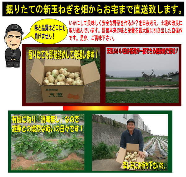 tamanegi02