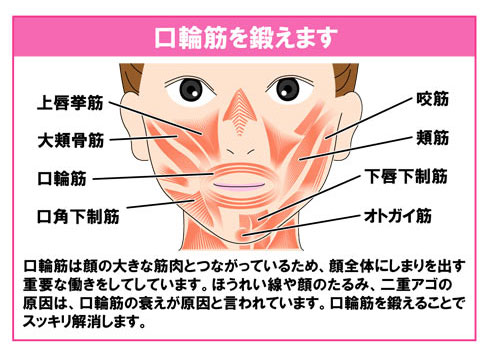 表情筋 トレーニング器具