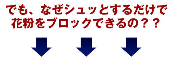 ポレノン 花粉症