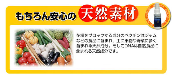 ポレノン 花粉症