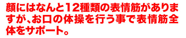 12種の表情筋を鍛える フェイススリマー