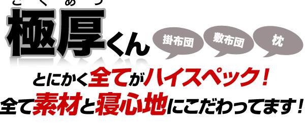 布団4点セット 極厚くん