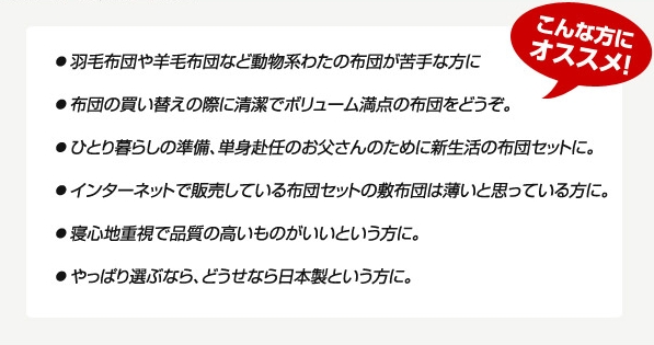 布団4点セット 極厚くん